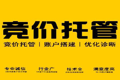 SEM代运营机构成功案例：转化率翻倍秘诀
